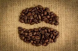肯尼亚咖啡豆特点 72小时水洗处理法肯尼亚精品咖啡豆如何手冲