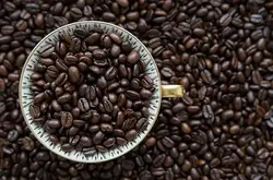 坦桑尼亚乞力马扎罗咖啡豆品种烘培介绍