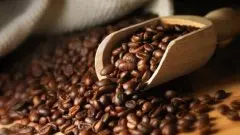 云南茶乡被咖啡改变——咖啡豆种植户达3万 产品出口欧洲