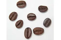 咖啡为什么是健康的,咖啡中最重要的营养物质绿原酸