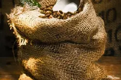 巴拿马花蝴蝶咖啡豆产地区品种类和名字由来历史起源简历