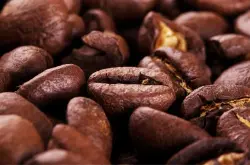 咖啡豆什么样的是公和母