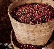 咖啡评鉴：农产品展售 推广南投产业