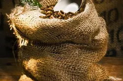 印尼曼特宁咖啡豆的来源和处理方式