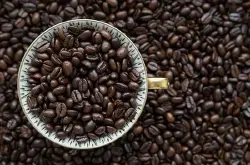 哥伦比亚LA ROCHELA庄园的摩卡咖啡豆介绍