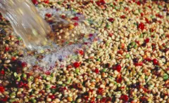 什么是水洗法Washed Process 水洗处理咖啡豆有什么优缺点？