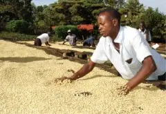 品味地域之味 │咖啡从这里开始 — 埃塞俄比亚