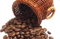 哥斯达黎加咖啡季产量9.26万吨，同比下降15%