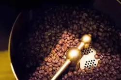 烘焙后的咖啡豆可产生多少种香气