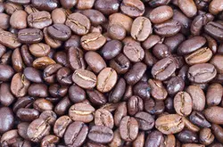 为什么阿拉比卡比较高级？咖啡豆品种揭秘