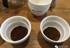 西达摩咖啡豆杯测干香口感风味手冲数据