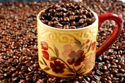 巴拿马瑰夏咖啡豆的历史发展