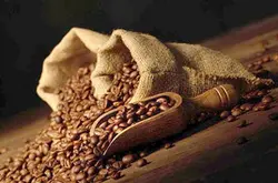卢旺达咖啡豆干香湿香简介