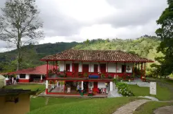 哥伦比亚咖啡原产地的奥秘—你所不能错过的咖啡园秘境之旅