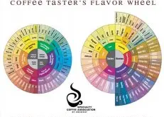 SCAA揭开全新的咖啡风味环 字典和风味环各自独立存在