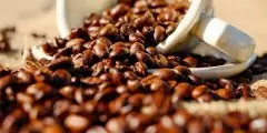 全世界最贵咖啡现身澳大利亚新州 601澳元一磅