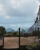 卢旺达-布达雷省 巴卡合作社咖啡风味口感香气描述