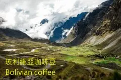来自世界屋脊的安地斯之魂玻利维亚咖啡豆风味口感香气描述