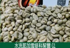 埃塞俄比亚水洗耶加雪啡 科契尔（叩洽雷）G1咖啡风味口感香气描