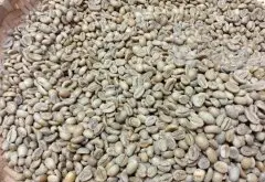 埃塞俄比亚耶加雪啡 孔加水洗 G1咖啡风味口感香气描述
