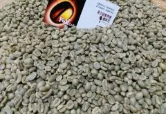 耶加雪啡红樱桃计划毕洛雅合作社水洗原生种咖啡风味口感香气描述