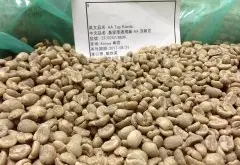 肯尼亚涅里水洗Thangathi 圆豆PB咖啡风味口感香气描述
