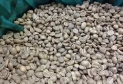 危地马拉 波多美庄园水洗咖啡豆风味口感香气描述