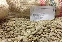 哥伦比亚 FNC 薇拉顶级豆水洗咖啡风味口感香气描述