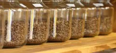 达人出招！ 教您咖啡豆保存的秘诀大法