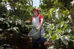 一杯公平贸易咖啡，给中南美洲咖啡小农一个民主梦想