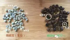 烘焙师入门必学：如何挑选合格的咖啡生豆并筛选瑕疵豆