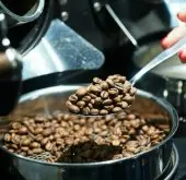 新手烘焙咖啡豆基础知识进阶