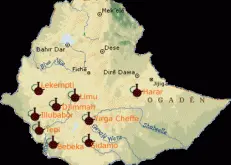 埃塞俄比亚西达摩精品咖啡庄园信息风味介绍