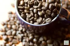 少农药危机的咖啡产区、值得安心品尝的苏门答腊曼特宁