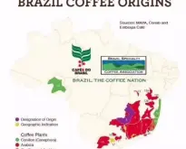 巴西咖啡2017年现状巴西咖啡价格最新巴西咖啡价格/批发报价