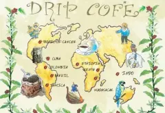一篇文章解读拉丁美洲咖啡豆哥伦比亚巴西风味