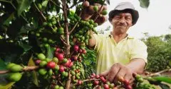 国内极少见，潜力超无穷的新兴咖啡产区－厄瓜多尔咖啡