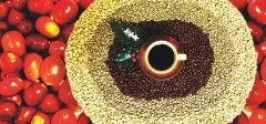 咖啡中的“劳斯莱斯”—台湾咖啡的产销特性以及产地信息介绍