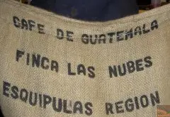 危地马拉首届CoE冠军庄园云雾庄园Guatemala Finca Las Nubes