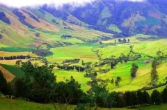 哥伦比亚Colombia咖啡豆烘焙记录挑选分级主要产区详细讲解介绍