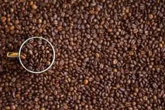 萨尔瓦多咖啡豆烘焙记录建议 萨尔瓦多巴特雷斯庄园温泉咖啡处理