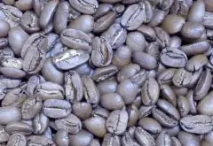 哥斯达黎加咖啡庄园-无限庄园Villa Sarchi黄蜜处理咖啡怎么样？