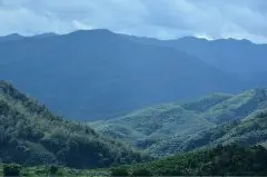 哥斯达黎加塔拉珠合作社水洗豆杯测和风味介绍