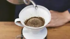 厄瓜多尔咖啡手冲参数手法建议 厄瓜多尔海龟岛咖啡豆的风味特点