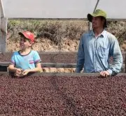 巴西咖啡哪个牌子好 巴西最大的咖啡种植区巴西喜拉朵\喜拉多咖啡