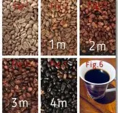 从微波炉开启烘烤咖啡豆之旅 如何用微波炉烘焙咖啡生豆？