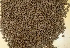 马拉戈日皮象豆为什么风味评价那么差 极品象豆杯测报告