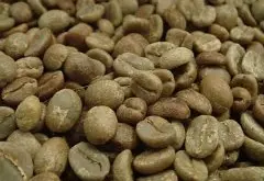 尼加拉瓜咖啡庄园水之睛庄园不沾水日晒处理法玛莎耶萨风味描述