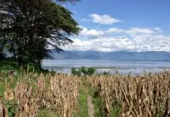 危地马拉火山咖啡区阿蒂特兰湖产区 艾提兰湖 Lago de Atitlán