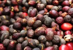 非洲精选庄园：埃塞俄比亚-耶加雪夫-单一庄园咖啡豆